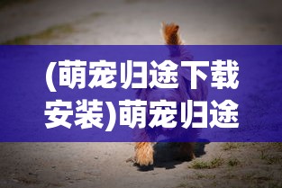 (艾青的故乡)艾人的故乡，不减反增版——繁荣与变迁的探讨