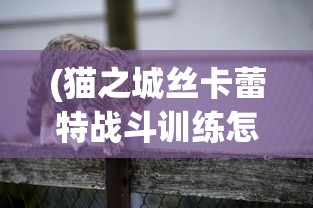 (百变大侦探怎么创建房间谁是卧底)百变大侦探创建房间全攻略，一步步教你如何轻松创建专属房间