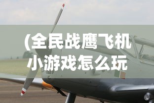 (中职篮英雄破解版)中职蓝英雄无限金币版，游戏解析与常见问题解答