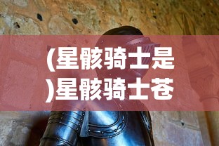 (军团战棋英雄时代全dlc下载)军团战棋英雄时代全DLC，深度分析与常见问题解答
