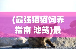 (精铁之门)晶铁之门OL是否重新开启，游戏现状与未来展望