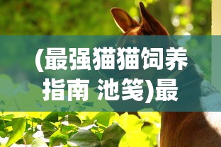 (铁粉空间十大巅峰作品)兔宝妮铁粉空间付费内容深度解析与探讨