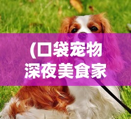 (龙之谷游戏剧情萝丝)龙之谷游戏剧情解析与深度探讨