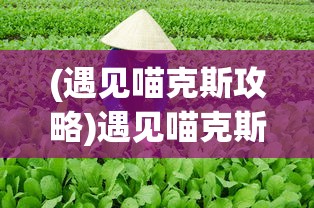 (魔尊重楼演员是谁)魔尊重楼演员，深度解析角色与演员的魅力