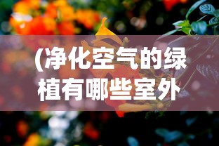 (垂钓宗师破解)垂钓宗师，无限金币与钻石的无限魅力探索