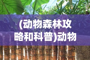 (逍遥浪人仙神降临百度百科)逍遥浪人仙神降临，探寻神秘力量的起源与影响