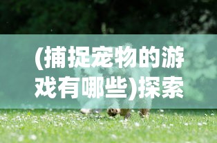 (传世归来手机版)传世归来手机游戏，深度分析与探索