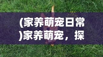 (代号群英最新版本下载)代号，群英——探寻英雄群聚的奥秘与挑战