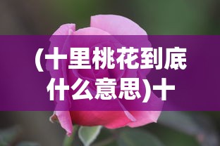 (兵者笔趣阁无弹窗免费)兵者笔趣阁无弹窗，探索军事文学的无尽魅力