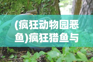 (御龙战仙之文字修仙金色武将)千悦游戏御龙战仙之文字修仙的奇幻世界探索
