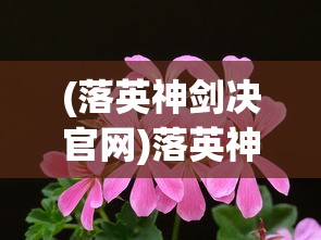 (星梦ol)星梦计划攻略大全，解锁你的明星之路