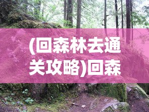 (物语系列 游戏)物语系列单机游戏，深度探索与独特魅力