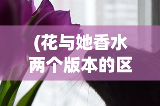 (北证50指数跌5)北证50指数暴跌5%，市场波动背后的原因与未来展望