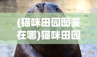 (力港武林盟主礼包兑换码)力港武林盟主身份揭秘，谁是武林霸主？