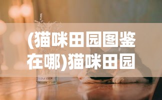 (钻石kv 44)探索神秘力量，关于KV44合体的奥秘与探索