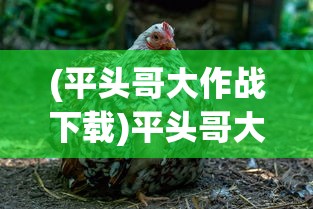 (黑色沙漠手游台服官网)黑色沙漠手游台服，深度探索与常见问题解答