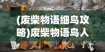 (迷宫幻境攻略图文)迷宫幻境攻略详解及常见问答解答