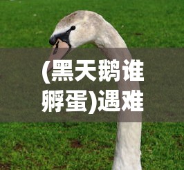 (艾莉娅技能)艾莉娅觉醒女神版，重塑神话的崭新篇章