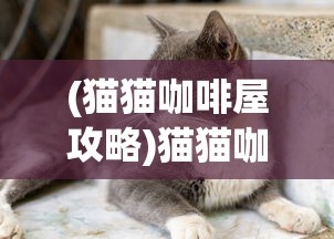 (命运神界国际服叫什么)命运神界国际服现状解析，游戏是否仍可继续体验？