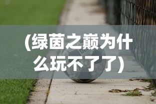 (师傅有妖气下一句是什么意思)师傅有妖气——探寻未知世界的神秘面纱