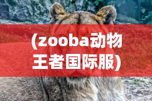(零下记忆什么时候更新)零下记忆下架原因探究