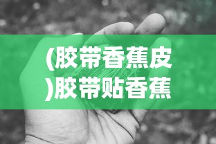称王魏蜀吴迷雾之境，全面攻略与常见问题解答