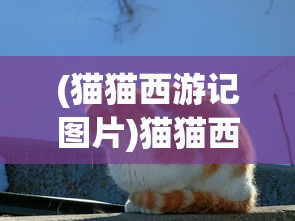 (元素方尖好玩不)元素方尖停服深度解析，原因与未来展望