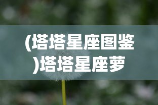 (战三国自走棋什么时候出的)战三国自走棋，策略与智慧的巅峰对决