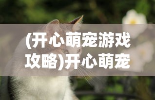(宠物冒险家陆服版)宠物冒险家PVP，冒险与荣耀的竞技舞台