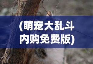 (骑着马走来走去的成语有哪些)成语探源，马不停蹄，行走中的诗意与力量