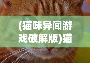 (剑网3指尖江湖必练角色有哪些)剑网3指尖江湖必练角色攻略及深度解析