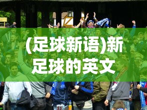 (地下城堡3魂之诗Wiki)地下城堡3魂之诗，游戏深度解析与常见问题解答