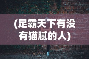 (万界英雄猎人在线观看)万界英雄猎人，跨越次元的冒险之旅