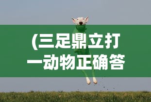 (风影手游最强阵容2024)风影手游最强阵容2024，策略分析与选择指南
