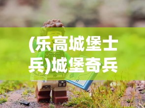 (乐高城堡士兵)城堡奇兵乐高积木，探索城堡奇兵的积木世界之旅