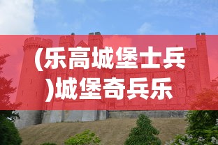 (乐高城堡士兵)城堡奇兵乐高积木，探索城堡奇兵的积木世界之旅