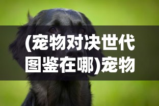(宠物对决世代图鉴在哪)宠物对决世代图鉴，揭示宠物对决的多样性与深度