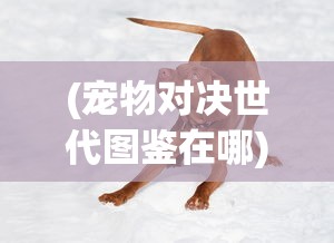 (宠物对决世代图鉴在哪)宠物对决世代图鉴，揭示宠物对决的多样性与深度