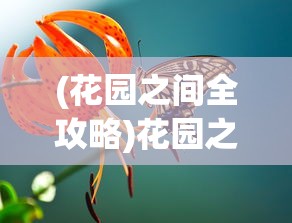 (花园之间全攻略)花园之间攻略，探索神秘花园的奥秘