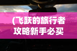 (飞跃的旅行者攻略新手必买)飞跃的旅行者攻略，探索未知之旅的必备指南