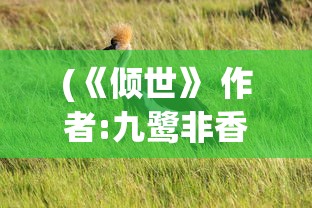 (审判者途径百度百科)审判者途径，探索正义之路的多元视角
