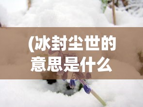 (后发制人的拼音和意思)后发制人的拼音及其相关解析