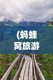 (圣灵之域礼包兑换码)九游圣灵之境，游戏世界的奇幻之旅