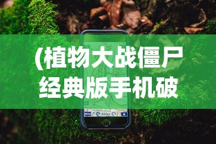(亮剑:西北王从迫击炮手开始笔趣阁)亮剑，西北王从迫击炮手起步的传奇之路