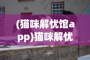 (猎魂者用什么至宝)猎魂传说至尊宝神兽传奇获得攻略及常见问题解答