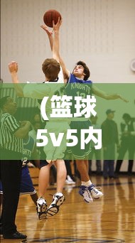 (天行道是什么意思)天行道，探寻其深层含义与多元解读