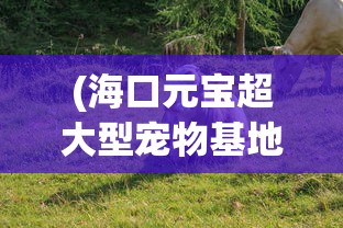 (传世手游骑战版本)传世骑战版手游架设，从入门到精通的全面解析