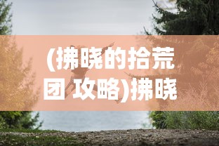 (江城十里铺破解版)江城十里铺，无限金币无广告，游戏的全新体验