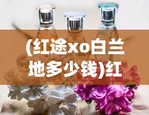 (口袋妖怪金攻略剧情)口袋妖怪金攻略二周目，探索未知的冒险之旅