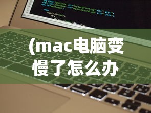 (口袋妖怪金攻略剧情)口袋妖怪金攻略二周目，探索未知的冒险之旅